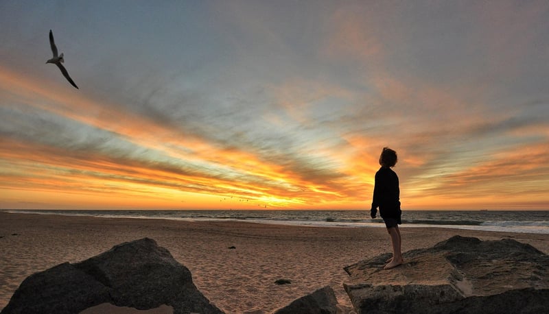 Susurrations by the Ocean